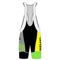Performance Winter Bib Shorts