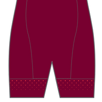 PERFORMANCE Cycling Shorts (non-bib strap)