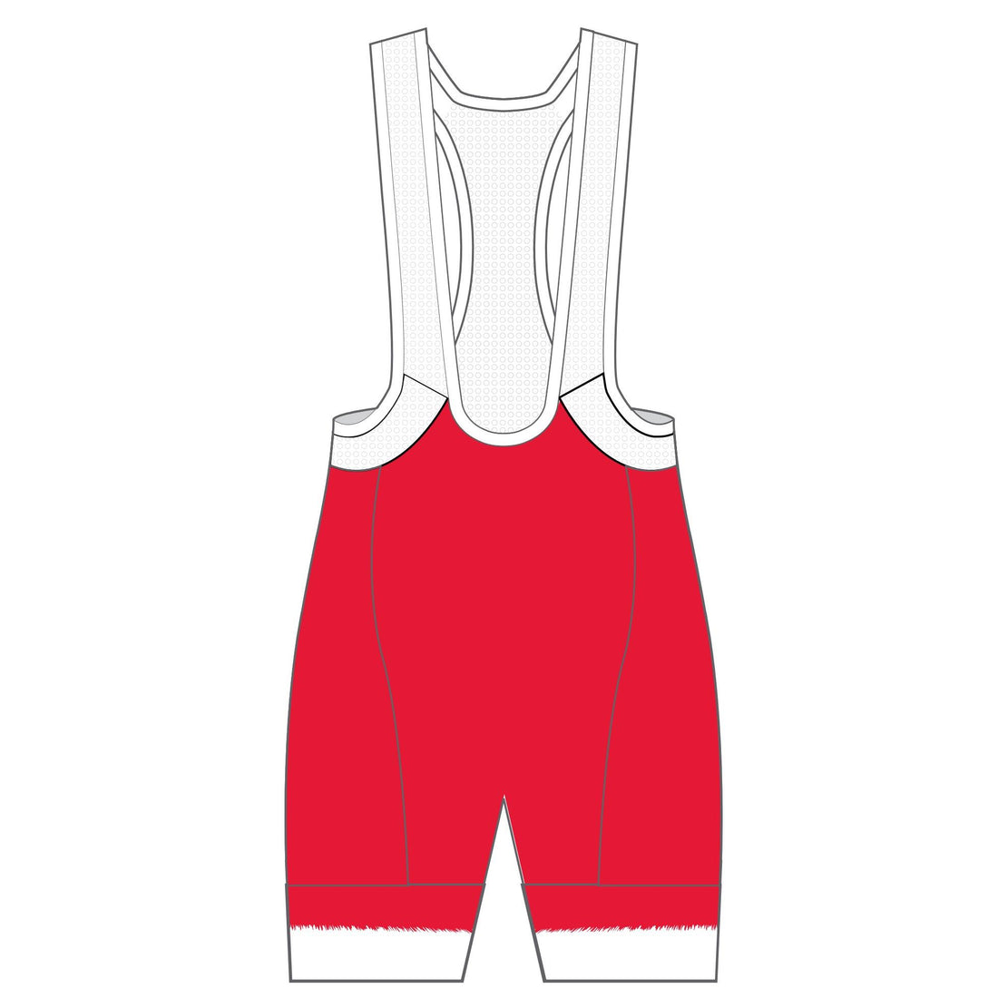 Performance Winter Bib Shorts