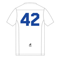 Apex Men's Run Top V-Neck