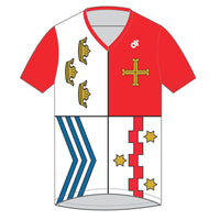 Apex Men's Run Top V-Neck