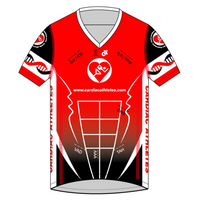 Apex Men's Run Top V-Neck