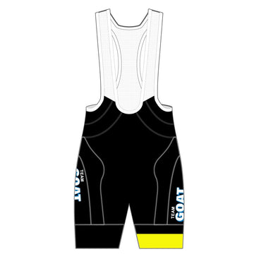 APEX+ Indoor Bib Shorts