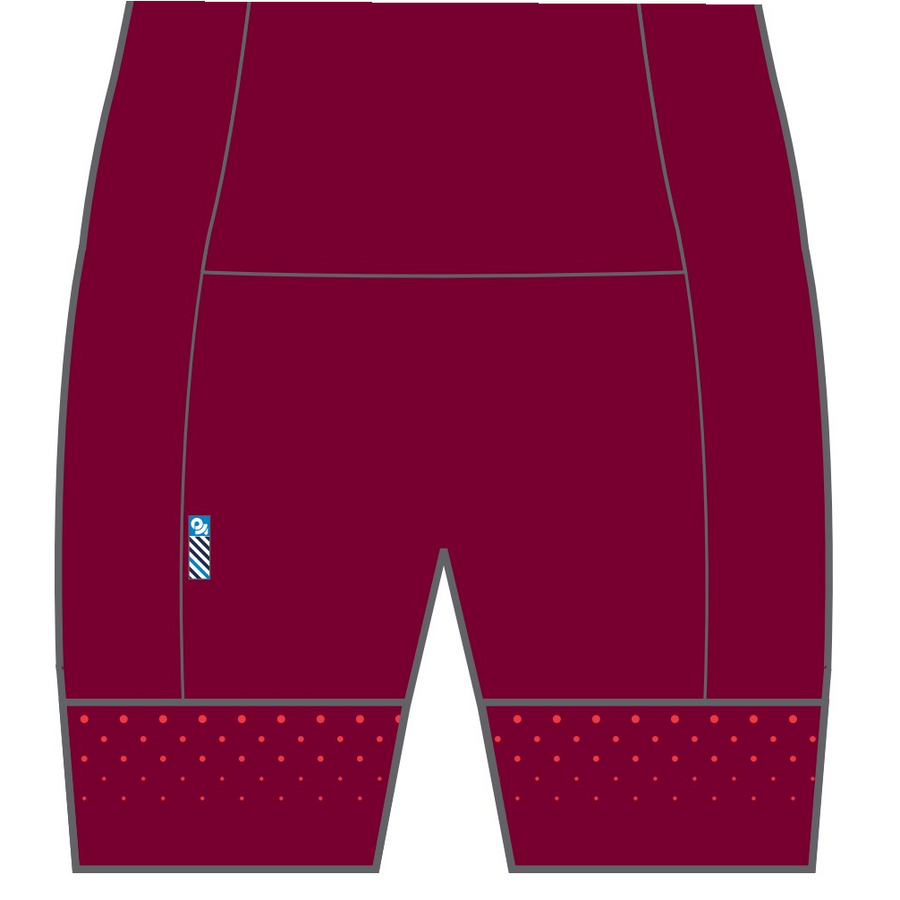 PERFORMANCE Cycling Shorts  (non-bib strap)