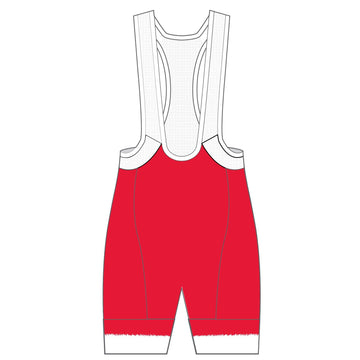 Performance Winter Bib Shorts