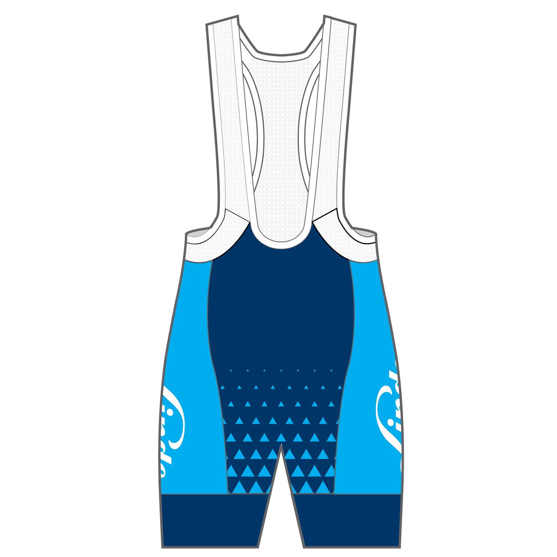 Performance Winter Bib Shorts