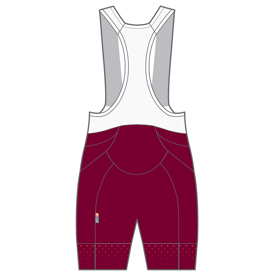 APEX+ Pro Bib Shorts