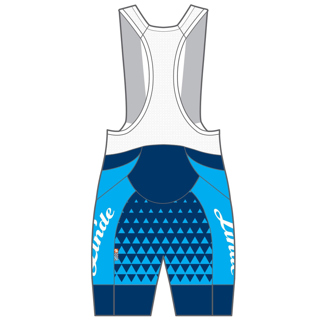 APEX+ Indoor Bib Shorts