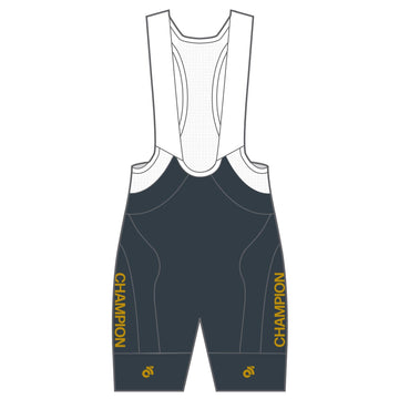 APEX+ Indoor Bib Shorts