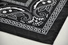 BOR Performance Bandana