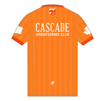 Apex Men's Run Top V-Neck