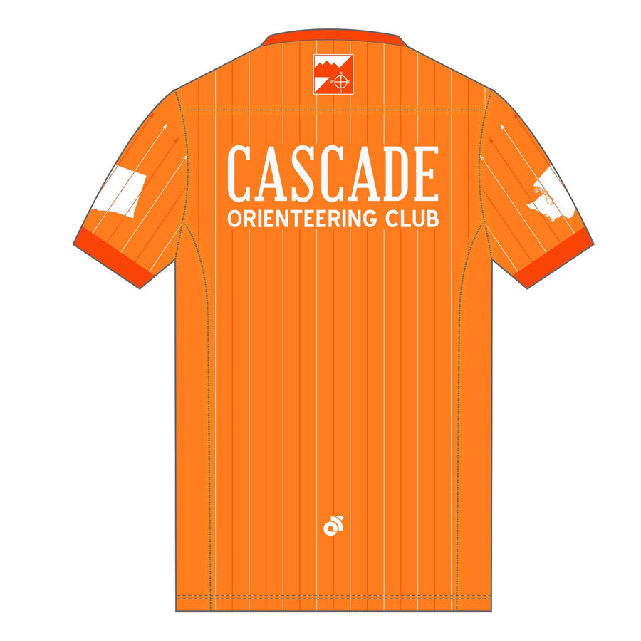 Apex Men's Run Top V-Neck