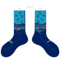 APEX Aero Race Socks