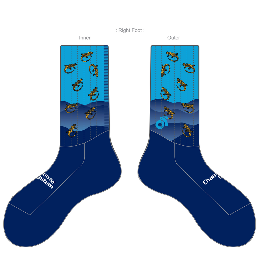 APEX Aero Race Socks