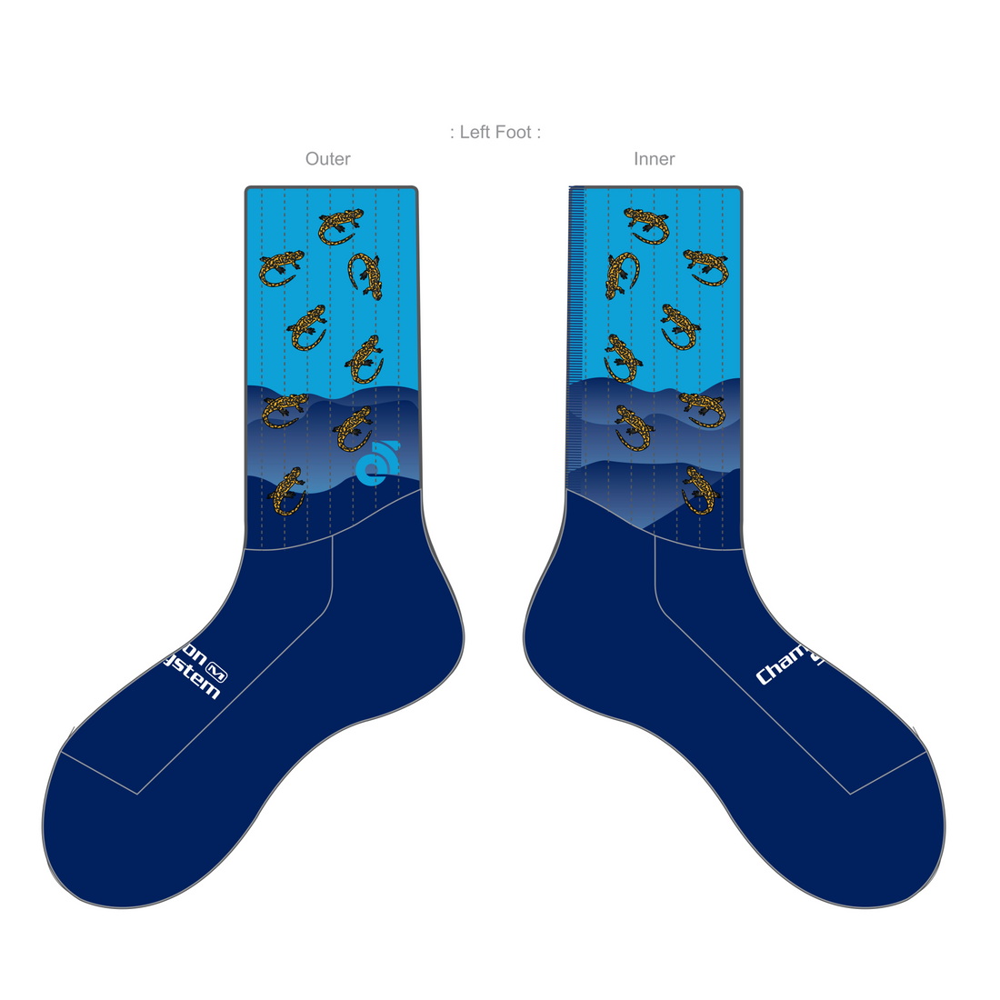 APEX Aero Race Socks